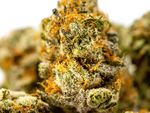 Concentrates